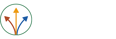 LPLI, the Lewis Pastoral Leadership Inventory™